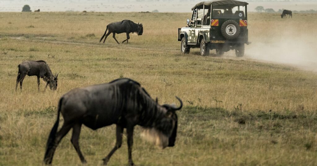 best travel experiences