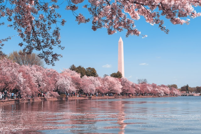 unique family vacations in the usa