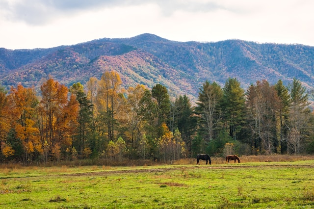 unique family vacations in the usa